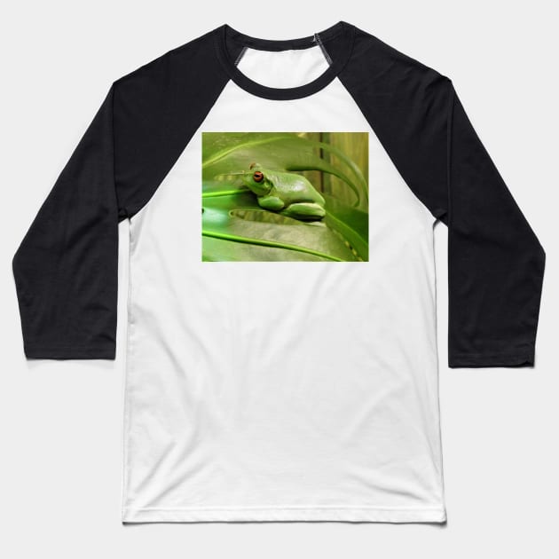 Red-eyed Tree Frog Baseball T-Shirt by kirstybush